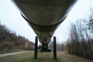 Oil-hungry Asian nations pounce on low prices to build stockpiles.jpg