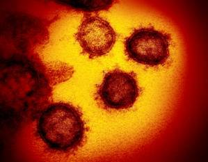 US man, 30, dies from virus after attending.jpg