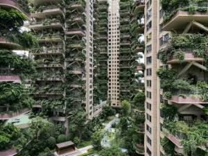 plants overrun Chinese apartment blocks.jpg