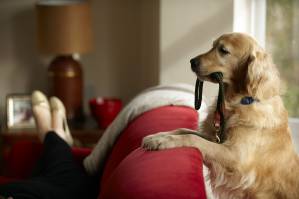 iStock_000020590750_Double.jpg iStock_000020590750_Double.jpg