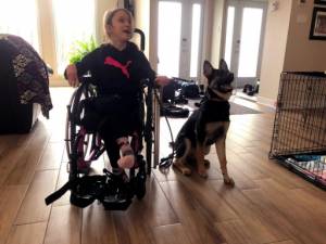 In Canada demand for puppies soars during pandemic, so do scams.jpg