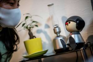 Japan's android pets ease virus isolation.jpg