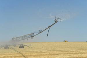 Europe's heat and drought crop losses tripled in 50 years.jpg