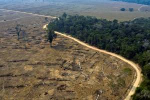 Brazil deforestation 94% illegal.jpg