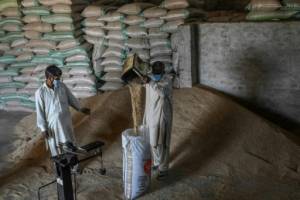 Steam rises as India and Pakistan take basmati battle to EU.jpg