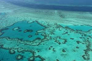 Australia to challenge UNESCO downgrade of Great Barrier Reef.jpg