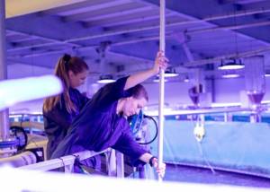 Norway salmon farming moves to cleaner waters.jpg