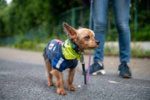 Tokyo's real life Paw Patrol keeps crime on short leash.jpg Tokyo's real life Paw Patrol keeps crime on short leash.jpg