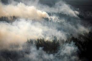 Volunteers join Siberia wildfire fight.jpg