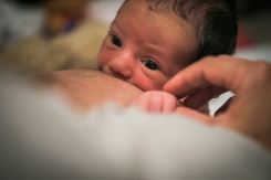 La croissance démographique en France portée par les grandes aires urbaines.jpg