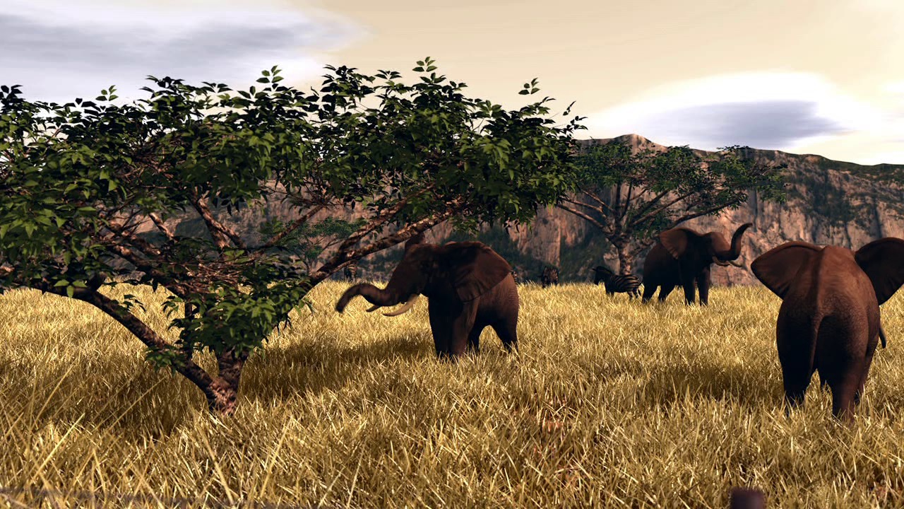 Le commerce de l'ivoire