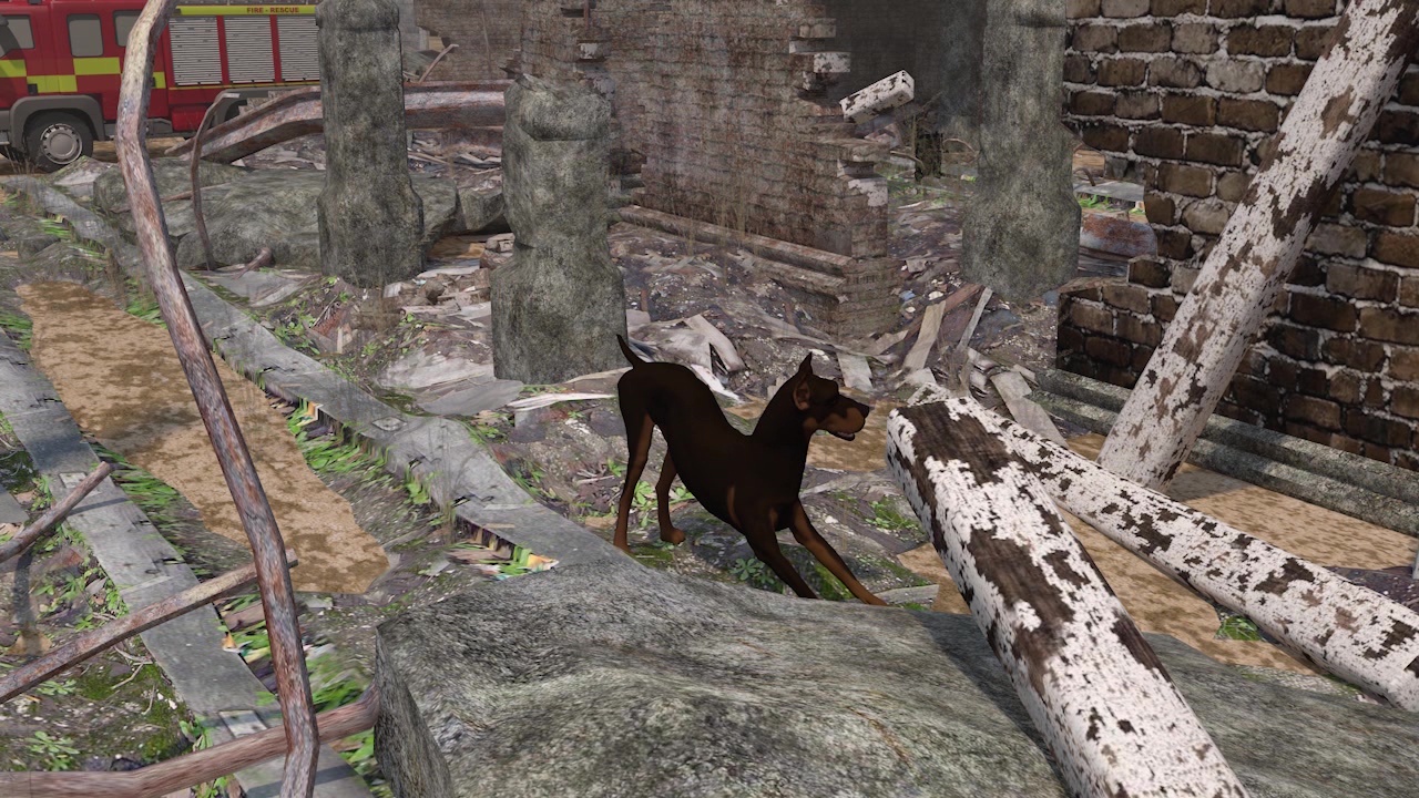 Comment sentent les chiens