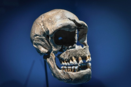 L'ADN hérité de Neandertal peut aggraver des formes de Covid-19.jpg