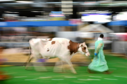 Annulation du salon de l'Agriculture 2021 à Paris.jpg