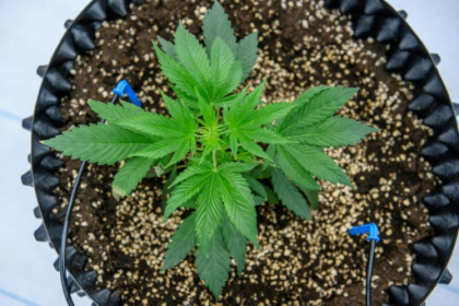 le cahier des charges des futurs médicaments publié.jpg