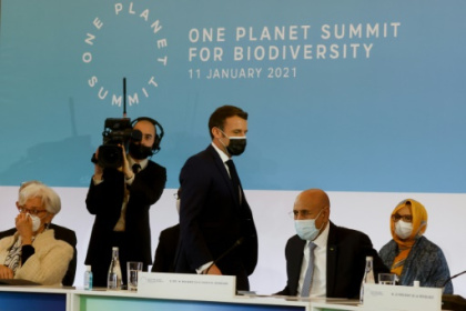 Un One planet Summit pour la biodiversité sans grandes avancées.jpg