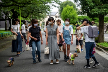 Au Japon, une patrouille de chiens veille sur les enfants.jpg