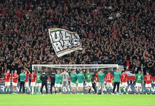 Insultes racistes : la Fifa sanctionne la Hongrie d'un match à huis clos et d'une amende