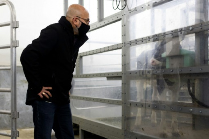 Kiwi boffins aim to clear the air on livestock emissions.jpg Kiwi boffins aim to clear the air on livestock emissions.jpg