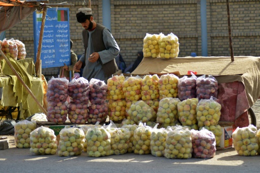 Afghanistan 'at brink of economic collapse', warns Pakistan