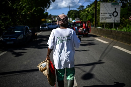 Pesticide chlordécone : les cancers de la prostate reconnus comme maladie professionnelle