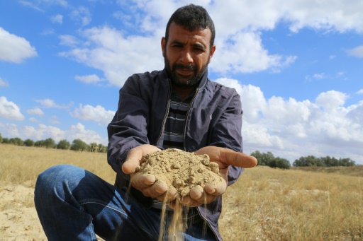 North African climate change threatens farming, political stability