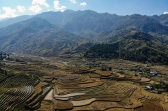 Vietnam's spectacular terraced ricefields wait for tourists.jpg