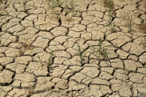 Des marqueurs clés du changement climatique ont battu de nouveaux records en 2021, selon l'ONU