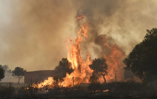 Europe burns as heatwave breaks temperature records