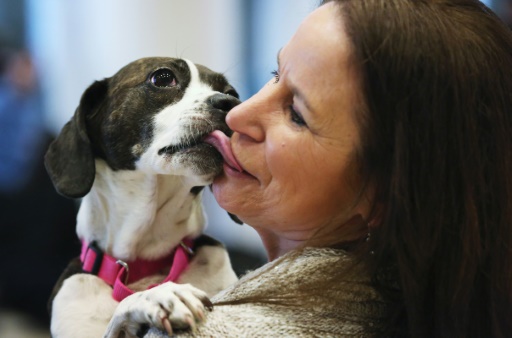 You're crying! Study shows dogs get teary-eyed when they reunite with owners