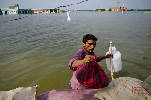 Green groups demand loss and damage money ahead of COP27