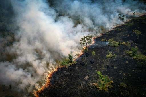 Brazilian Amazon records worst August for fires in 12 years