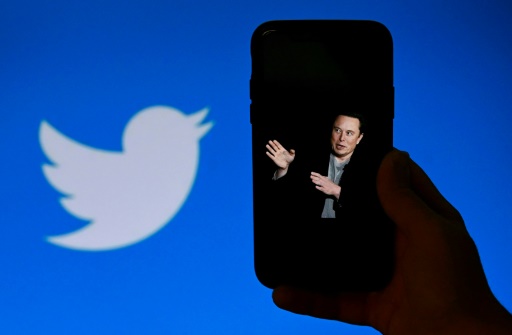 Musk announces 'amnesty' for banned Twitter accounts after poll