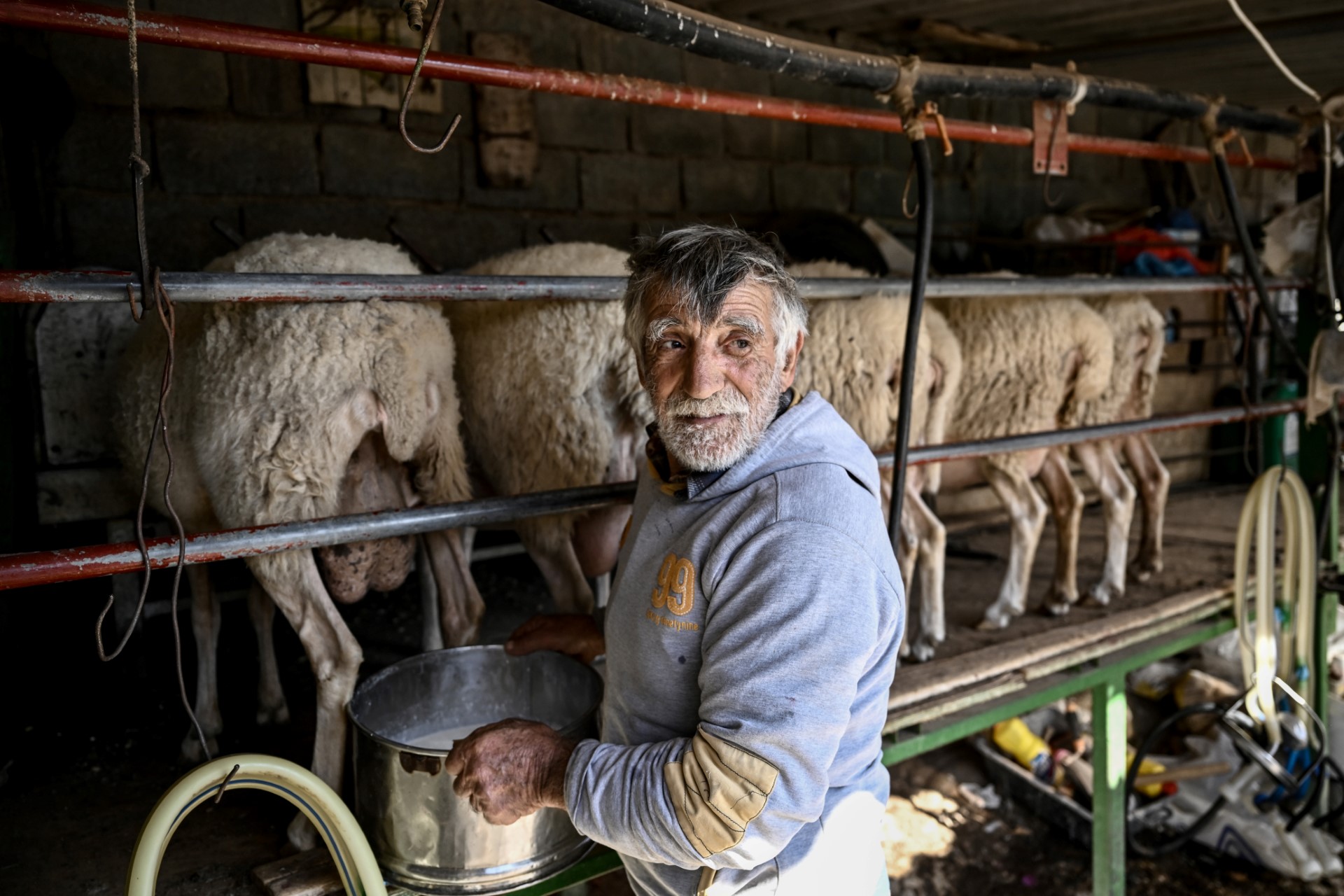 Celebrated Greek cheesemakers brought low by inflation