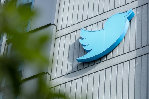 Musk delays Twitter relaunch after fake account frenzy
