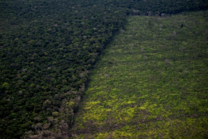 Developing nations demand more money at crunch UN biodiversity talks.jpg Developing nations demand more money at crunch UN biodiversity talks.jpg