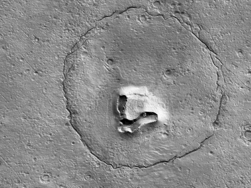 Is there life on Mars? Maybe, and it could have dropped its teddy