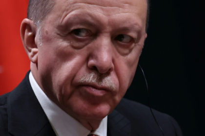 Erdogan says Finland may join NATO without Sweden.jpg Erdogan says Finland may join NATO without Sweden.jpg