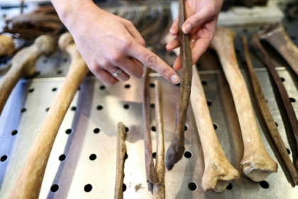 The two-century-old mystery of Waterloo's skeletal remains.jpg The two-century-old mystery of Waterloo's skeletal remains.jpg