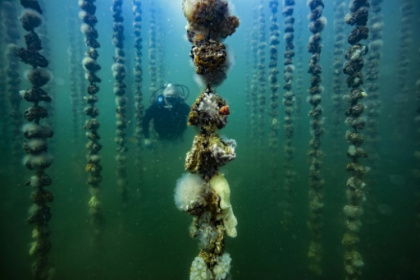 scientists explore ocean frontiers.jpg scientists explore ocean frontiers.jpg