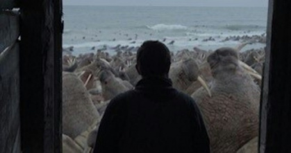 Oscar short docs race showcases booming art form.jpg Oscar short docs race showcases booming art form.jpg