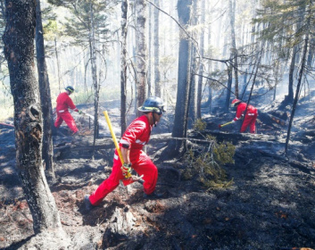Firefighters in east Canada battle.jpg Firefighters in east Canada battle.jpg