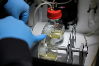 Lab-grown human embryo models spark calls for regulation.jpg Lab-grown human embryo models spark calls for regulation.jpg