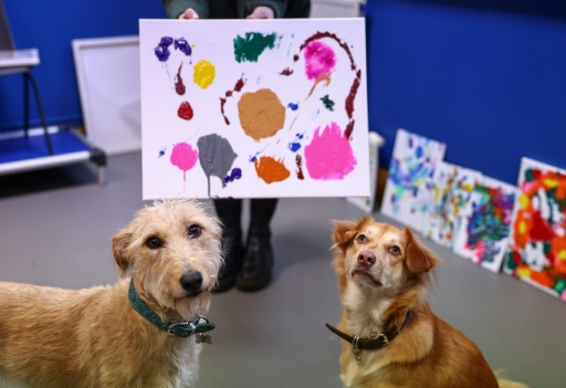 Stray dogs take up painting for UK charity