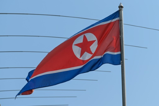 'Dire' economy prompts mass North Korean embassy closures
