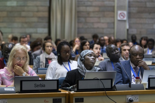 Frustration as latest talks on global plastic treaty close
