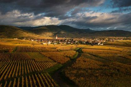 Alsace celebrates its 'Route des vins'.jpg Alsace celebrates its 'Route des vins'.jpg