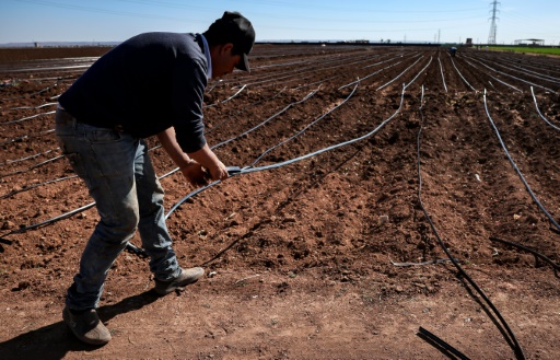 Climate change parches Morocco breadbasket amid policy pitfalls