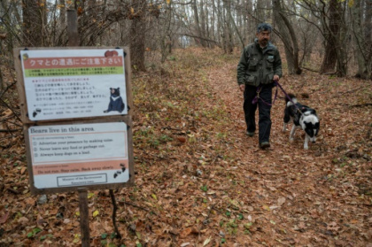 Dogs, antennas and honey for Japan's big bear problem.jpg Dogs, antennas and honey for Japan's big bear problem.jpg