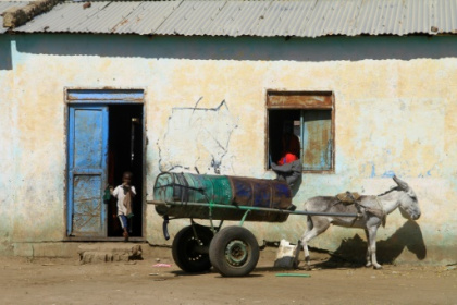 Harvest lost as war expands in famine-threatened Sudan.jpg Harvest lost as war expands in famine-threatened Sudan.jpg